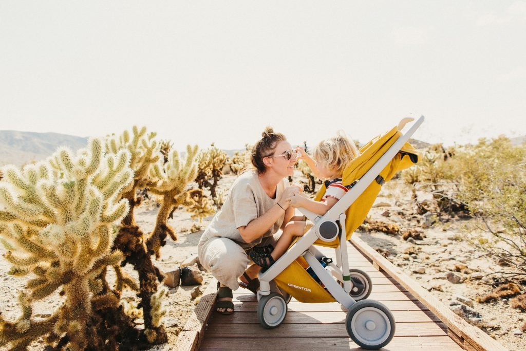 DSTRADE LLC | The Best Eco Friendly Stroller: Everything You Need To Know DSTRADE LLC | The Best Eco Friendly Stroller: Everything You Need To Know